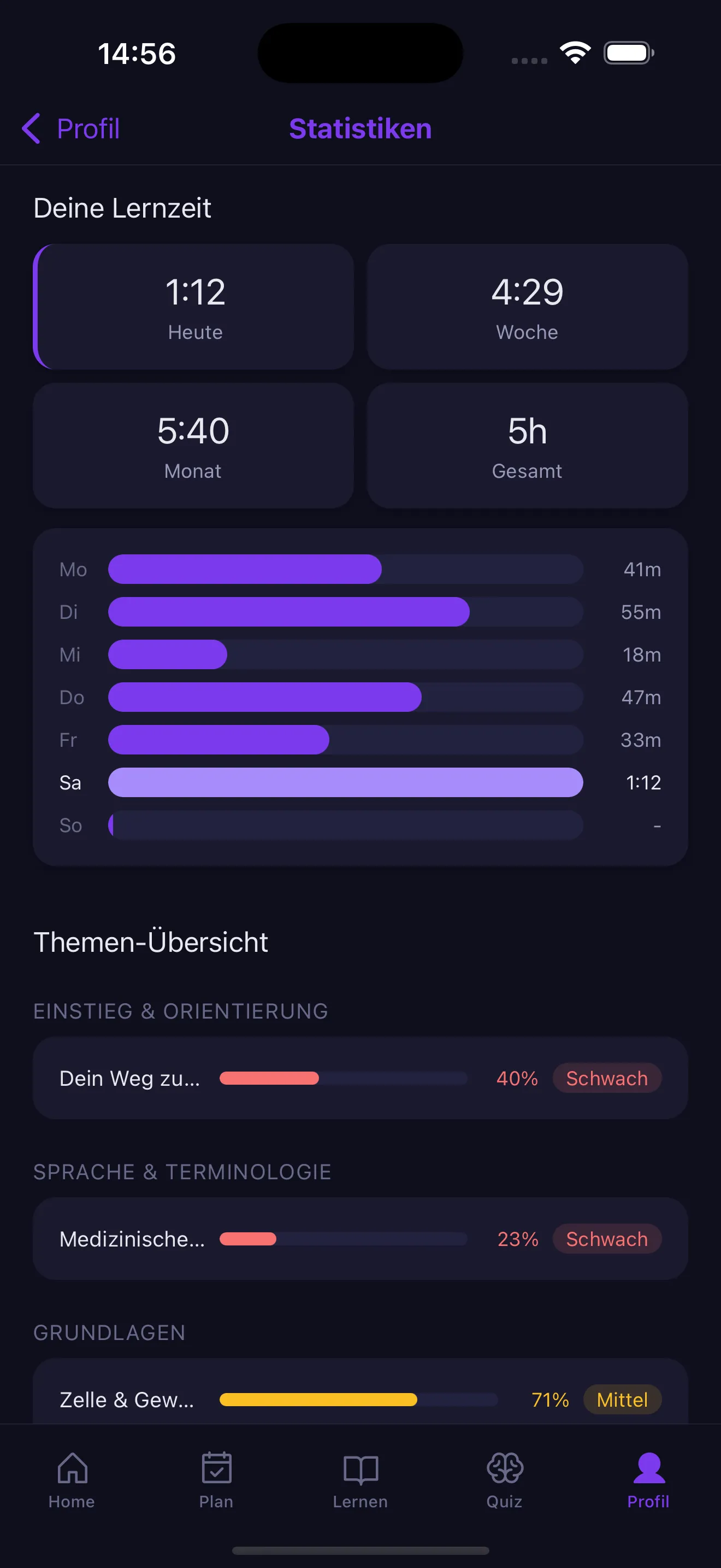 Statistik mit Themen-Mastery und Lernzeit-Verlauf